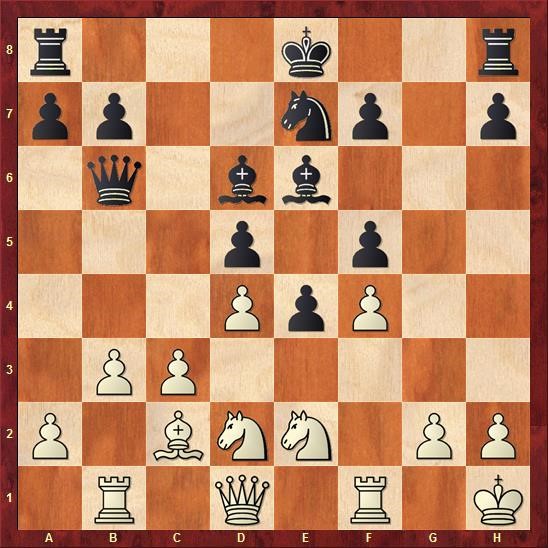 delhi-chess-open-cuoc-chien-cua-nguoi-duc-quat-cuong-giua-long-an-do-duong-phan-2-02.jpg