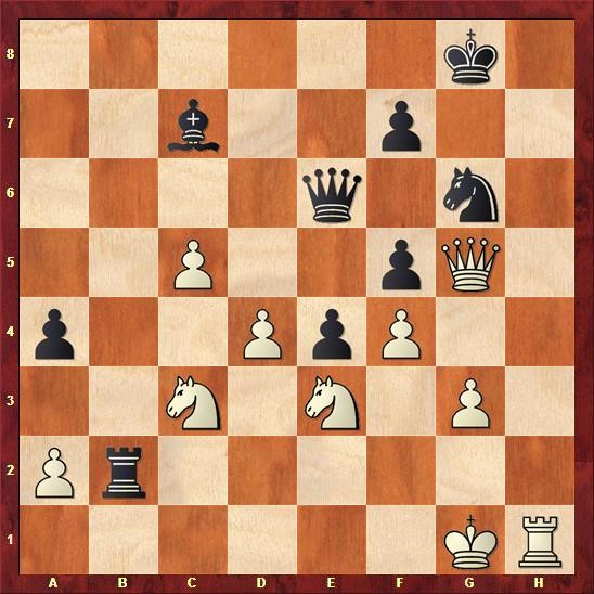 delhi-chess-open-cuoc-chien-cua-nguoi-duc-quat-cuong-giua-long-an-do-duong-phan-2-03.jpg