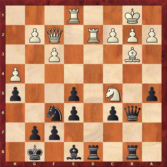 delhi-chess-open-cuoc-chien-cua-nguoi-duc-quat-cuong-giua-long-an-do-duong-phan-2-05.jpg