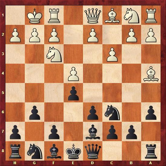 delhi-chess-open-cuoc-chien-cua-nguoi-duc-quat-cuong-giua-long-an-do-duong-phan-2-06.jpg