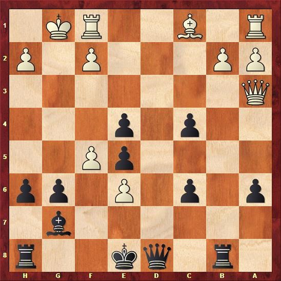 delhi-chess-open-cuoc-chien-cua-nguoi-duc-quat-cuong-giua-long-an-do-duong-phan-2-07.jpg