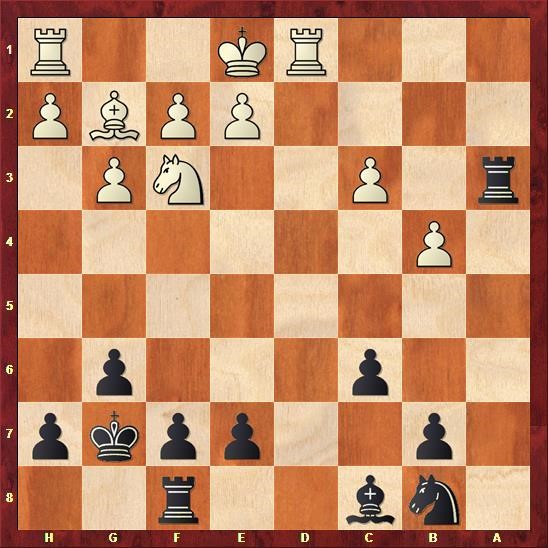 delhi-chess-open-cuoc-chien-cua-nguoi-duc-quat-cuong-giua-long-an-do-duong-phan-cuoi-02.jpg