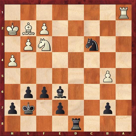 delhi-chess-open-cuoc-chien-cua-nguoi-duc-quat-cuong-giua-long-an-do-duong-phan-cuoi-03.jpg