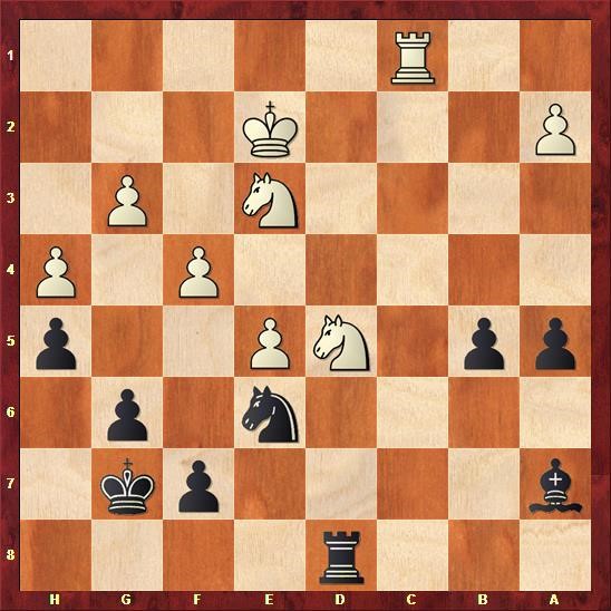 delhi-chess-open-cuoc-chien-cua-nguoi-duc-quat-cuong-giua-long-an-do-duong-phan-cuoi-04.jpg