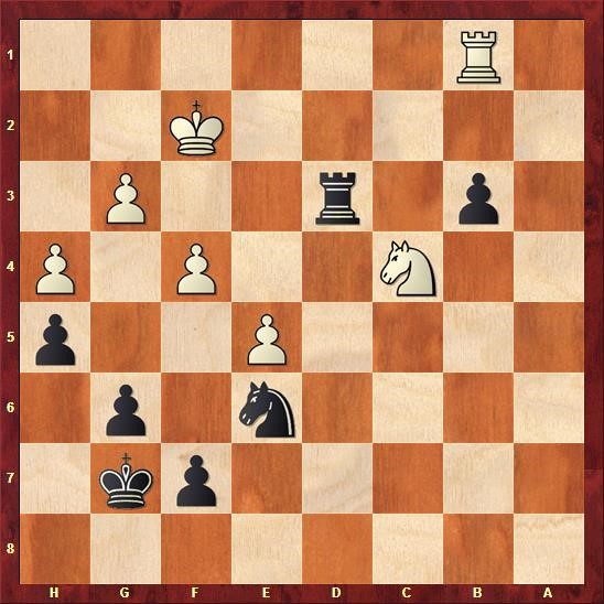 delhi-chess-open-cuoc-chien-cua-nguoi-duc-quat-cuong-giua-long-an-do-duong-phan-cuoi-05.jpg