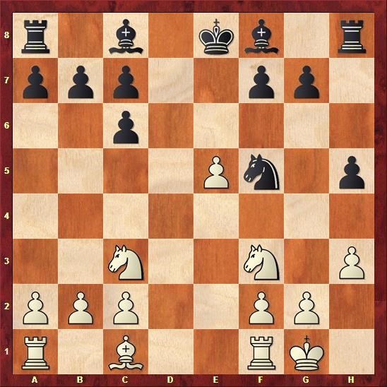 delhi-chess-open-cuoc-chien-cua-nguoi-duc-quat-cuong-giua-long-an-do-duong-phan-cuoi-06.jpg