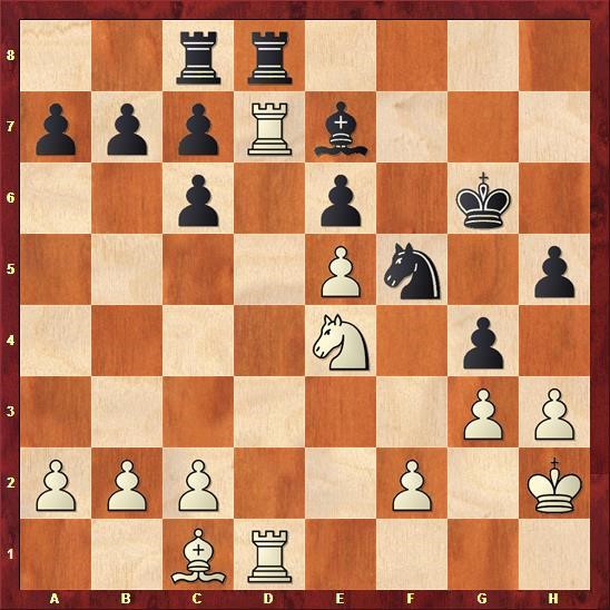 delhi-chess-open-cuoc-chien-cua-nguoi-duc-quat-cuong-giua-long-an-do-duong-phan-cuoi-07.jpg