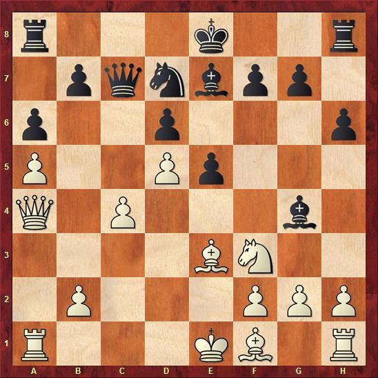 delhi-chess-open-cuoc-chien-cua-nguoi-duc-quat-cuong-giua-long-an-do-duong-phan-1-04.jpg