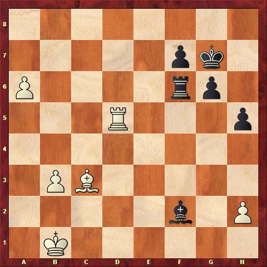delhi-chess-open-cuoc-chien-cua-nguoi-duc-quat-cuong-giua-long-an-do-duong-phan-1-05.jpg